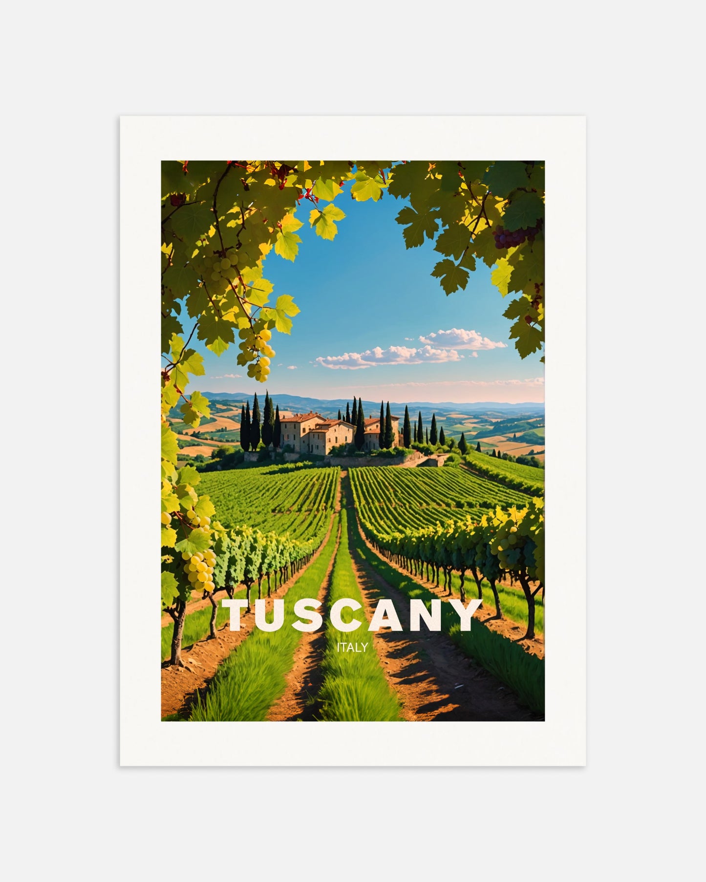 Poster: Vineyard in Tuscany