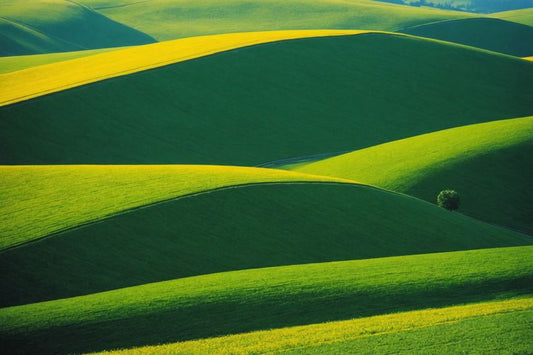 Image - Abstractions, geometric compositions in landscapes, Fields and hills - 390635910