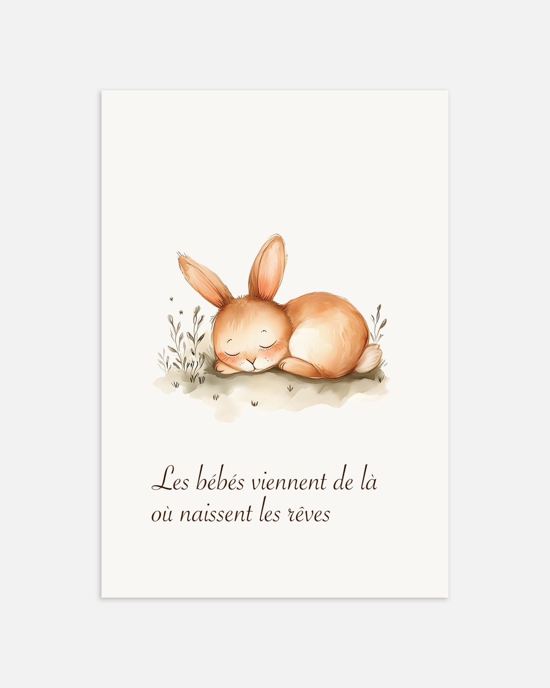 Poster: Babies come from where dreams are born, newborn gift